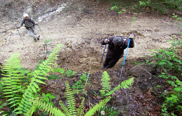 PIC DU MERDANSON-basque
