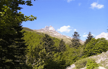 FLAQUE D ANIE-basque