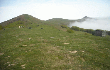 BORDA QUINTO REAL-basque