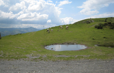 DEPUIS L ESPELETTE-basque