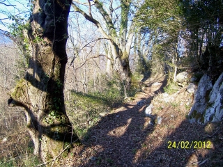 SAINTE-COLOME - LARUNS-basque
