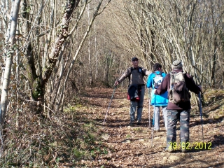 LES VIGNES EN TERRASSES-basque