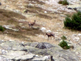 REFUGE DE LARRIBET - LAC DE BATCRABERE-hautes-pyrenees
