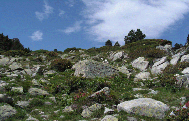 ARRIERE PAYS CATALAN-po