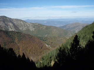 COL PALOMERE - PUIG DE L ESTELLE-po