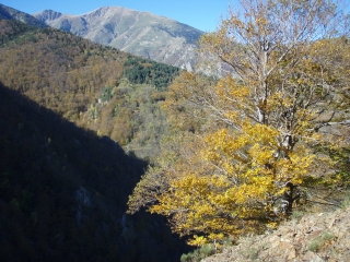 COL PALOMERE - PUIG DE L ESTELLE-po