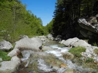 RESERVE NATURELLE DE PY-po