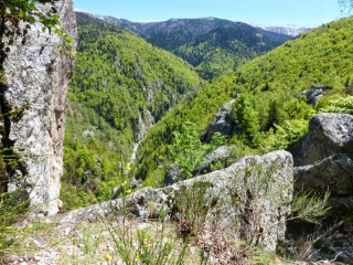 RESERVE NATURELLE DE PY-po