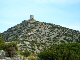 TAUTAVEL - LA TOUR-po