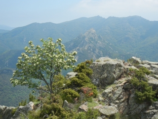 ARLES-SUR-TECH - PILO DE BELMAIG-po
