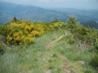 ARLES-SUR-TECH - PILO DE BELMAIG-po