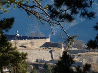 LES ESTANYOLS - BORD DE LA TET-po