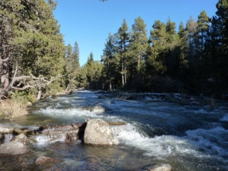 LES ESTANYOLS - BORD DE LA TET-po