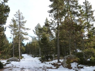 SENTIER DE LA TRANSHUMANCE-po