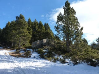 SENTIER DES AIRELLES-po