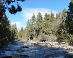 SENTIER DU PETIT CANADA-po
