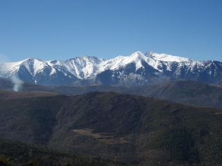 SERRABONE - BOULE D AMONT-po