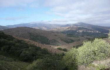 BANUYLS - PIC JOAN-po