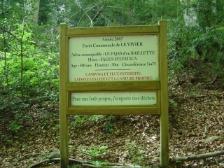 ST MARTIN LE VIVIER LE FAJAS D EN BAILLETTE (VARIANTE)-po