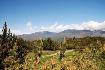 LES HAUTS DE OLETTE-po