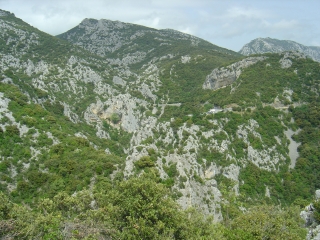 GALAMUS - CAMPEAU-po