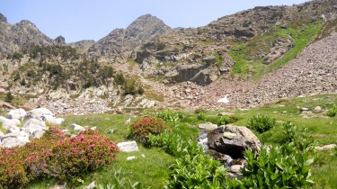 PIC ROTJA - TRES VENTS- ETANGS DU CADY-po