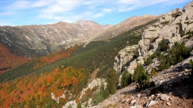 SANT GUILHEM - LES CABANES DE LA COUMELADE-po