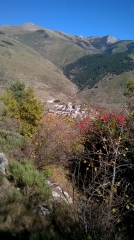 SANSA - A LA RENCONTRE DES CERVIDES-po