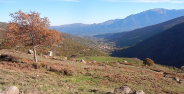 MOSSET - ROC DES 40 CROIX-po