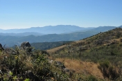SERRABONE - COL DE L HOMME MORT-po