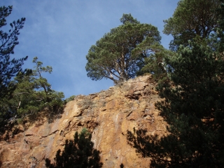 LES HAUTEURS DE JUJOLS-po