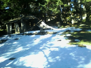 EVOL CAMI RAMADER-po