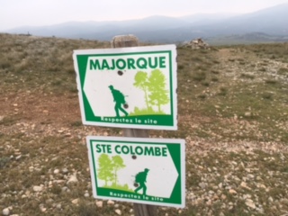 SAINTE-COLOMBE-DE-LA-COMMANDERIE - MAJORQUE-po