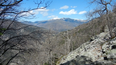 THUES - MAISON FORESTIERE D ARGOUDEIL-po