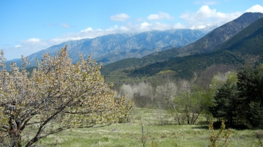 ESCARO - PLA DE GANTE-po