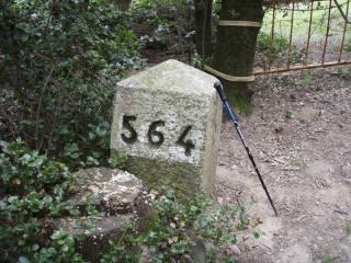 VARIANTE CIRCUIT RIUNOGUES-po