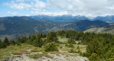 OREILLA - PIC DE LA LLABANERA-po