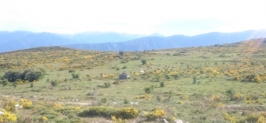 MOLITG-LES-BAINS - PIC DEL ROSSELLO-po