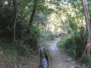 LAROQUE DES ALBERES - A LA RECHERCHE DES FONTAINES-po