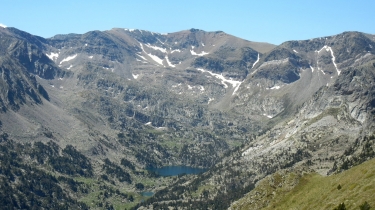 PILO DE LA XIMENEIA - PIC REDOUN-po