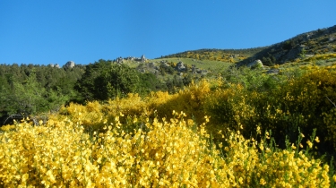 LES FORQUETS - COLLADE DES ROQUES BLANCHES - ESQUERDES-po