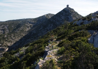 AUTOUR DE TAUTAVEL-po