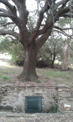 RANDO VERS LES HAUTEURS DE SOREDE-po