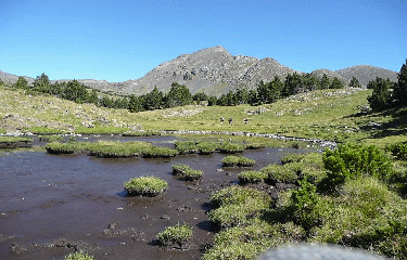 BOUILLOUSES - PIC PERIC-po