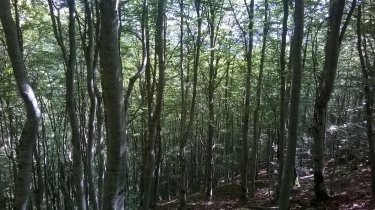 LE CANIGOU DEPUIS LOS MASOS EN 2 JOURS - ETAPE 1-po