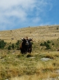 CABANE VIEILLE-po