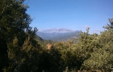 REYNES - LE MAS CALSAN SECRET-po