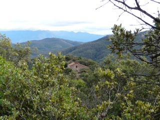 CAIXAS - LE MONT HELENE-po