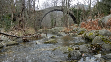 SOURNIA - ROC COURNUT- VALLEE DE LA DESIX-po