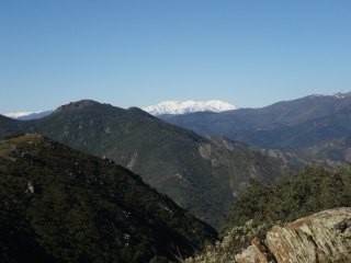 BANYULS - CRETE FRONTALIERE-po